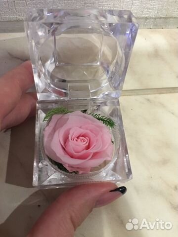 Где В Екатеринбурге Купить Недорого Стабилизированную Розу