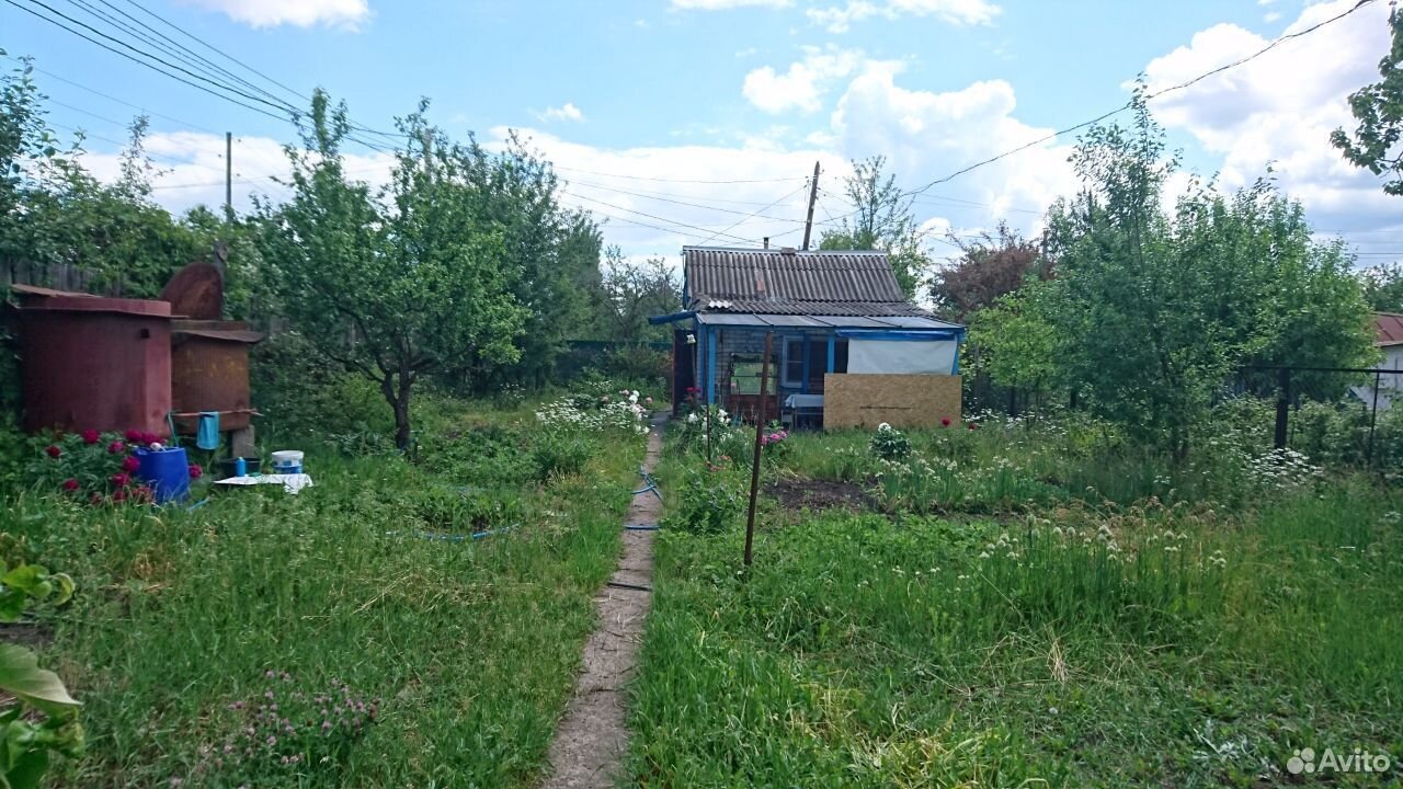 Снт заветы мичурина. СНТ Заветы Мичурина Воронеж. СНТ дальние сады. Четыре дачи Воронеж. Оптоволокно на сады СНТ Мичуринец Воронеж.