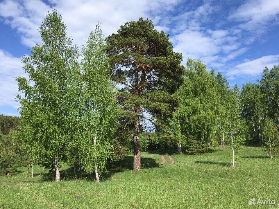 Купить Дом В Больших Ключищах Ульяновск