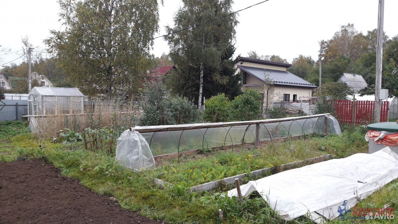 лупполово. лупполово ленинградская область. жк финский квартал воронеж. деревня лупполово. лупполово ижс.