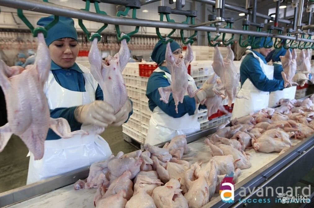 Где Купить Продукцию Нерюнгринской Птицы Фабрики