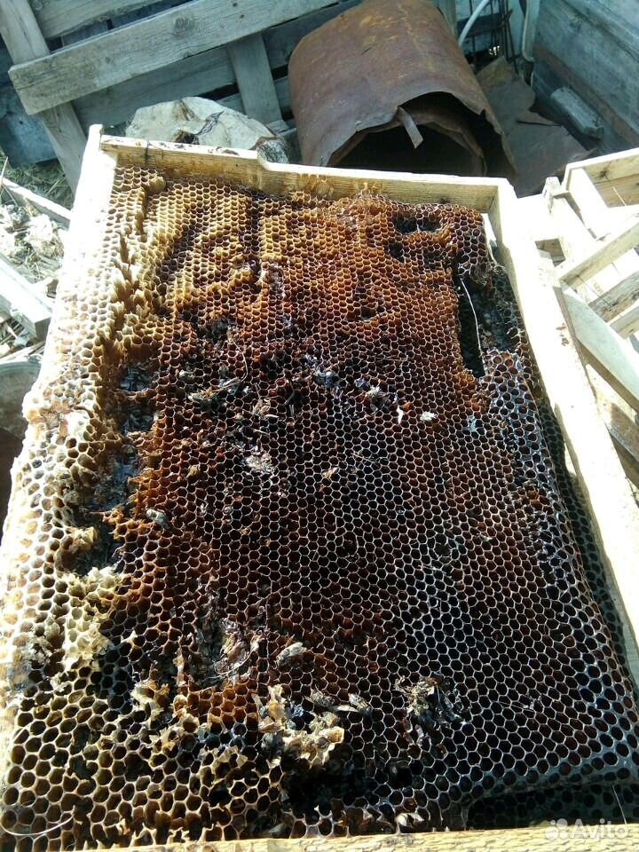 Суш для пчел, ловушек купить на Зозу.ру - фотография № 4