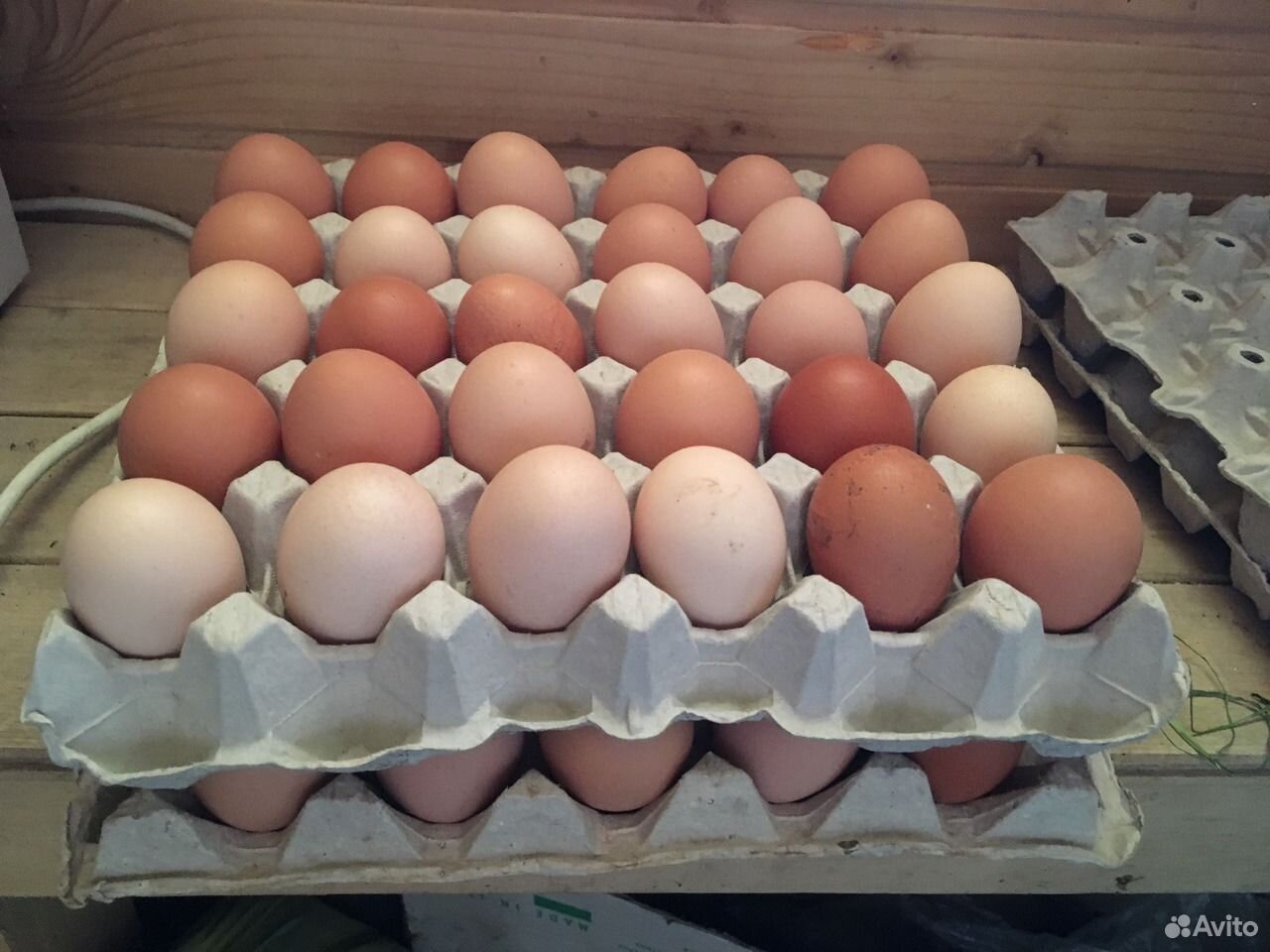 Яйца куриные со своего хозяйства купить на Зозу.ру - фотография № 1