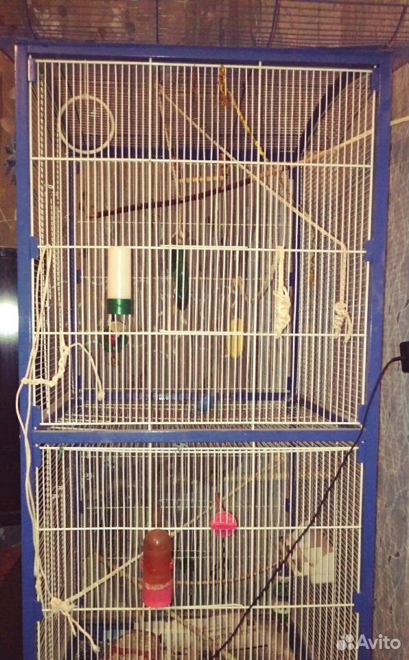 Клетка для попугаев,большая(155на 60) на колёсиках купить на Зозу.ру - фотография № 1