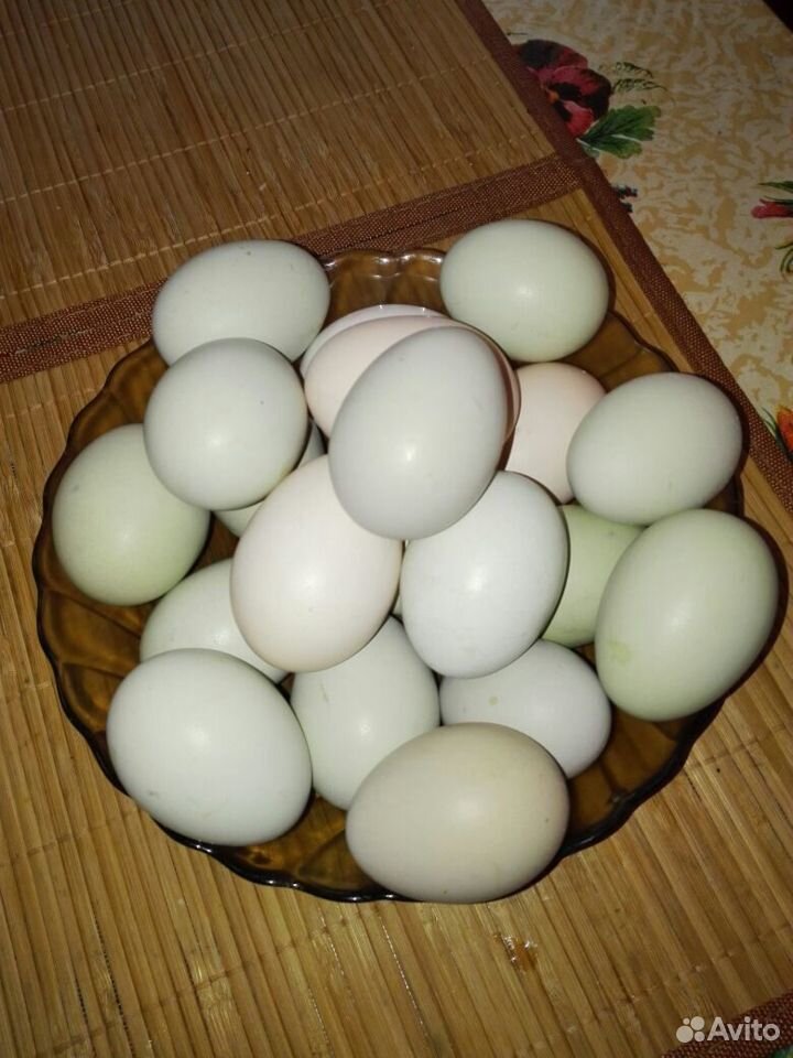 Яйцо домашнее деревенское купить на Зозу.ру - фотография № 2