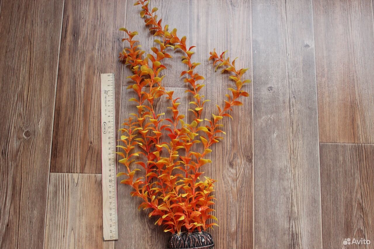 Продам красивое пластмассовое аквариумное растение купить на Зозу.ру - фотография № 1