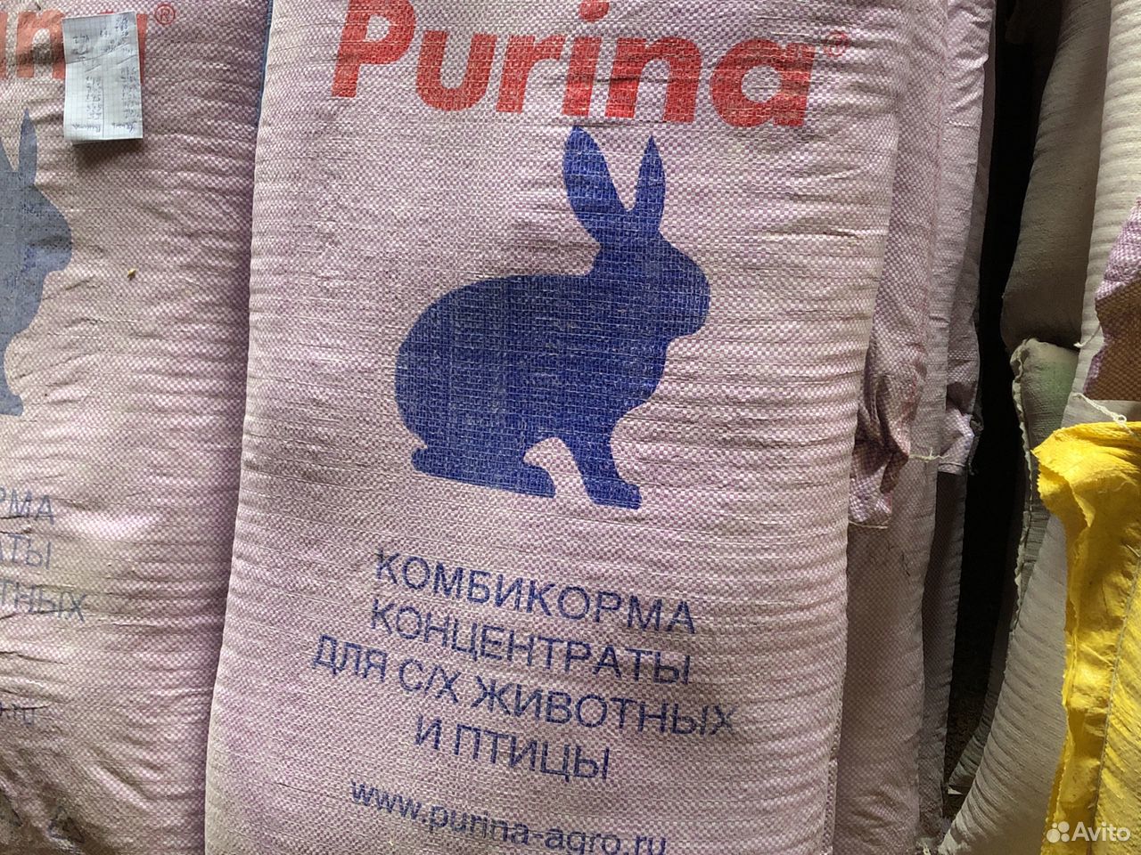 Пурина для кроликов купить на Зозу.ру - фотография № 1