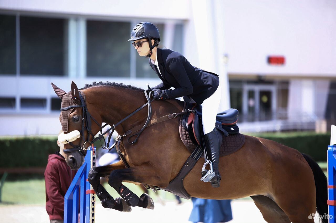 Лошадь с большой перспективой в спорт купить на Зозу.ру - фотография № 8