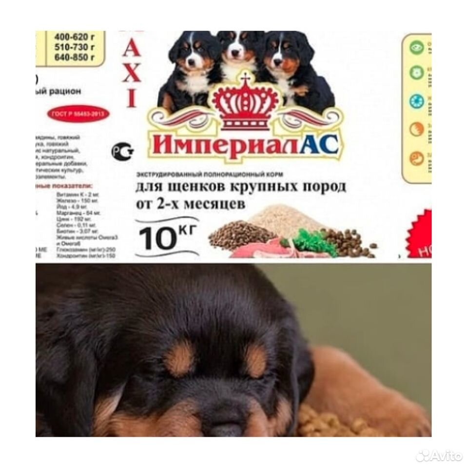 Корм для собак крупных и средних пород "Империал" купить на Зозу.ру - фотография № 1