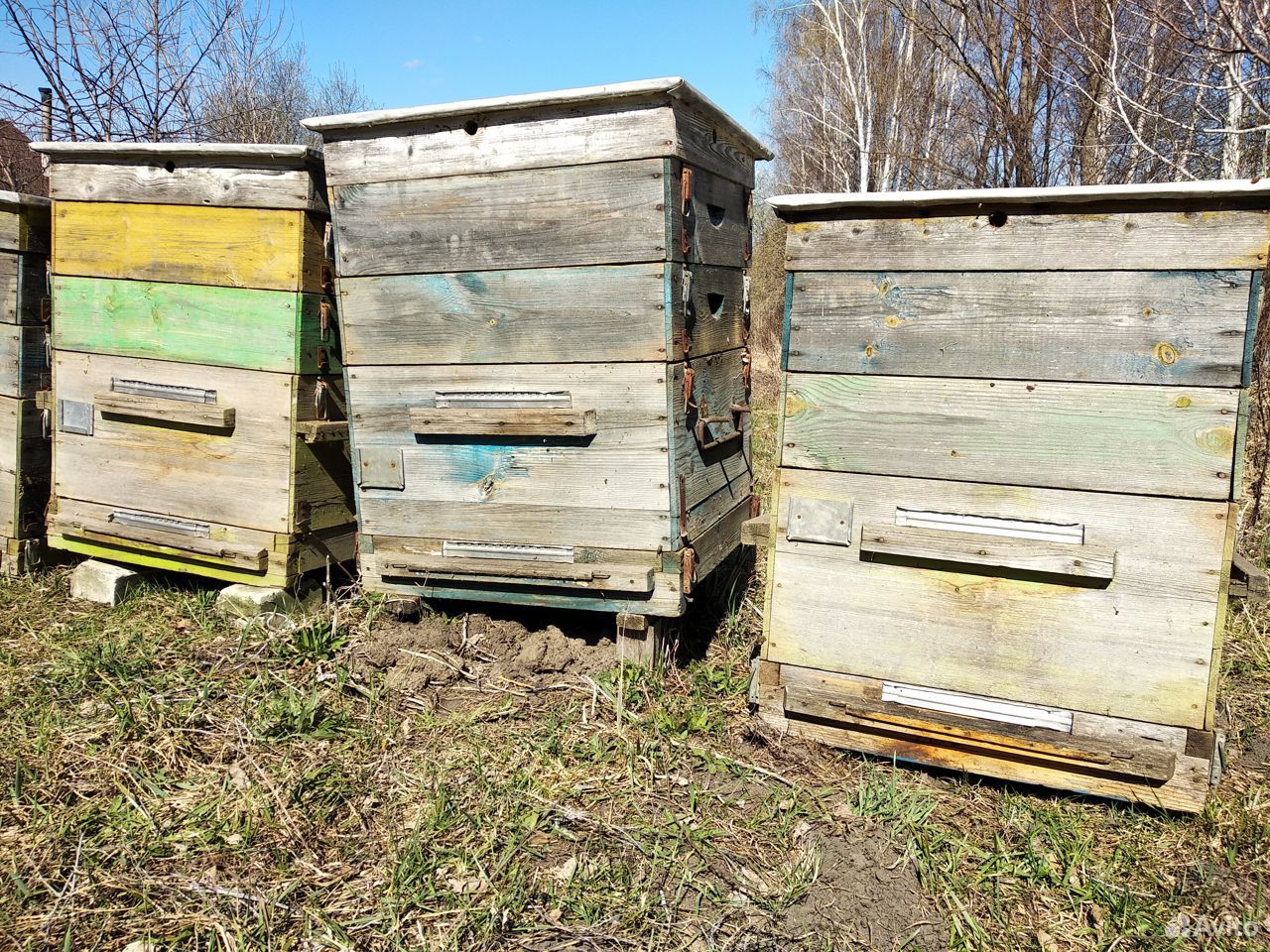Ульи для пчел, рамки, ящики для рамок купить на Зозу.ру - фотография № 1