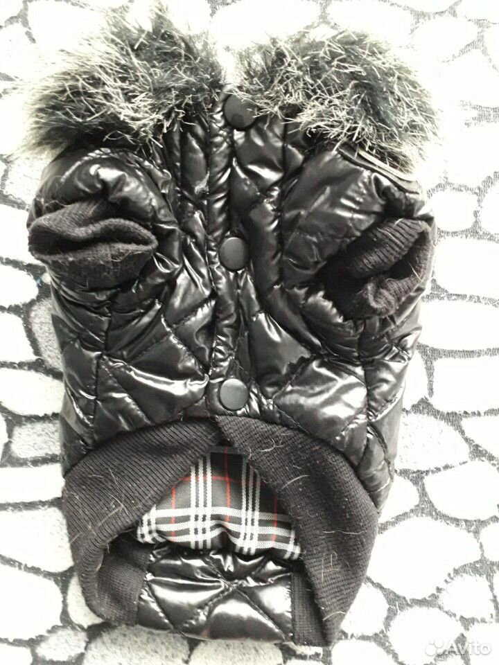 Комбинизон и куртка для той-терьера мини купить на Зозу.ру - фотография № 5