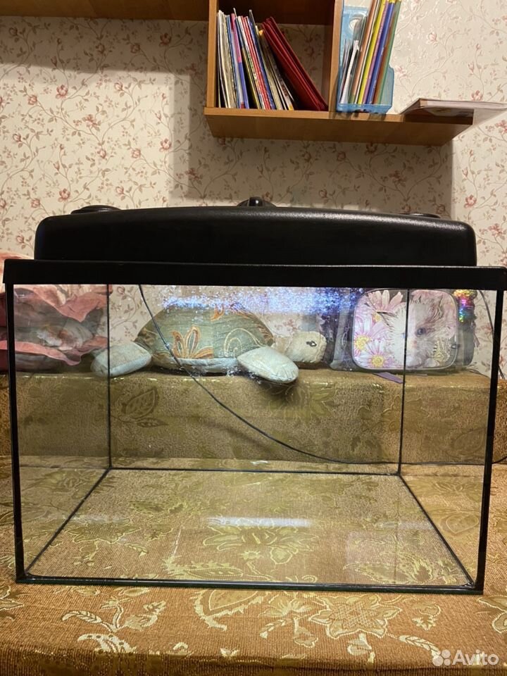 Продам аквариум со всем содержимым купить на Зозу.ру - фотография № 2