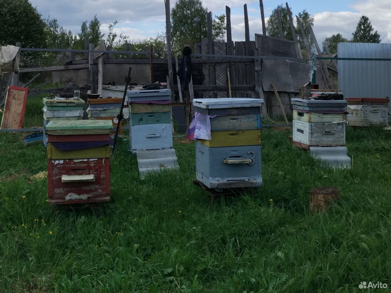 Ульи и пчелиные семьи, медогонка, воскотопка купить на Зозу.ру - фотография № 2