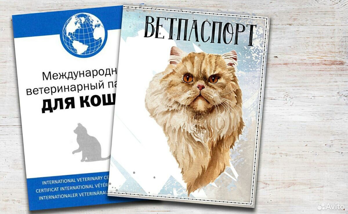 Ветеринарный паспорт купить на Зозу.ру - фотография № 5
