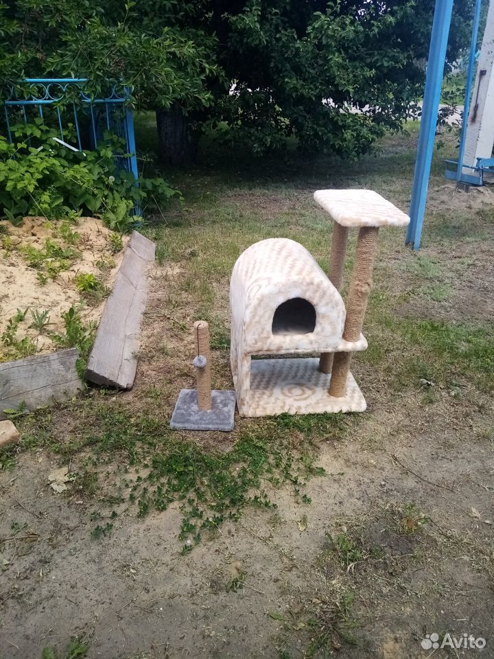Продам дом для кошки и когтеточка в хорошем состоя купить на Зозу.ру - фотография № 1