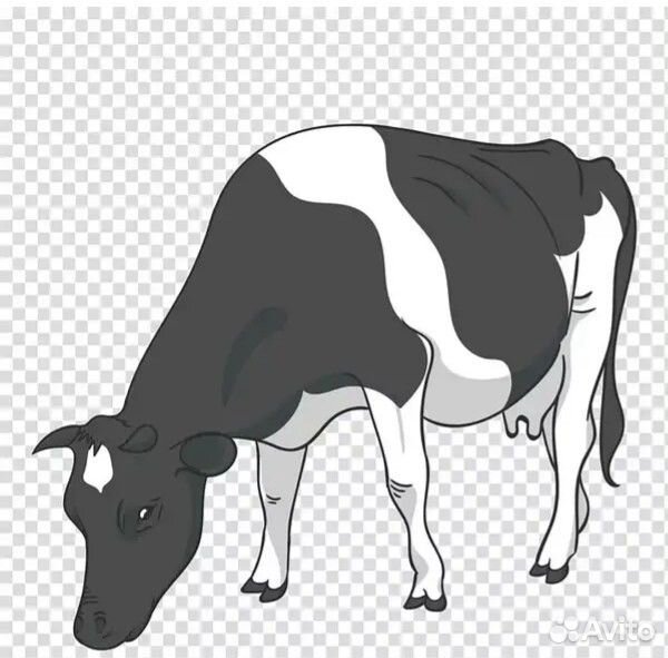 2 коровы, чёрно-белые купить на Зозу.ру - фотография № 1
