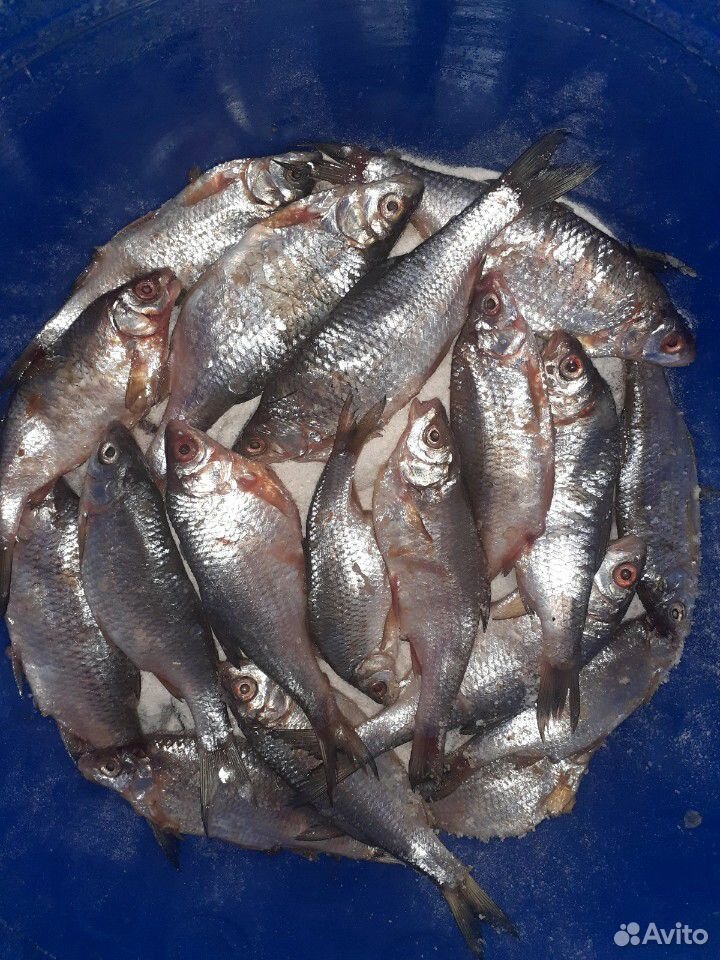 Вяленая Астраханская рыба купить на Зозу.ру - фотография № 1