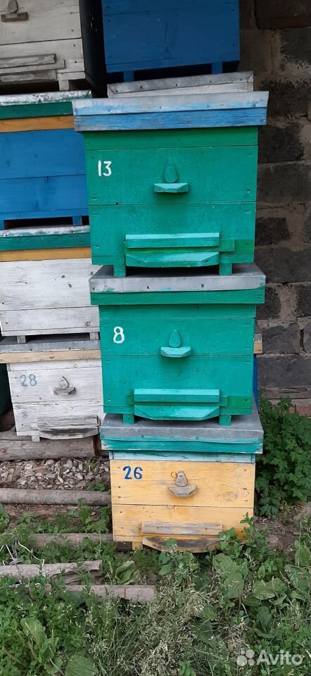 Улья для пчел б/у купить на Зозу.ру - фотография № 1