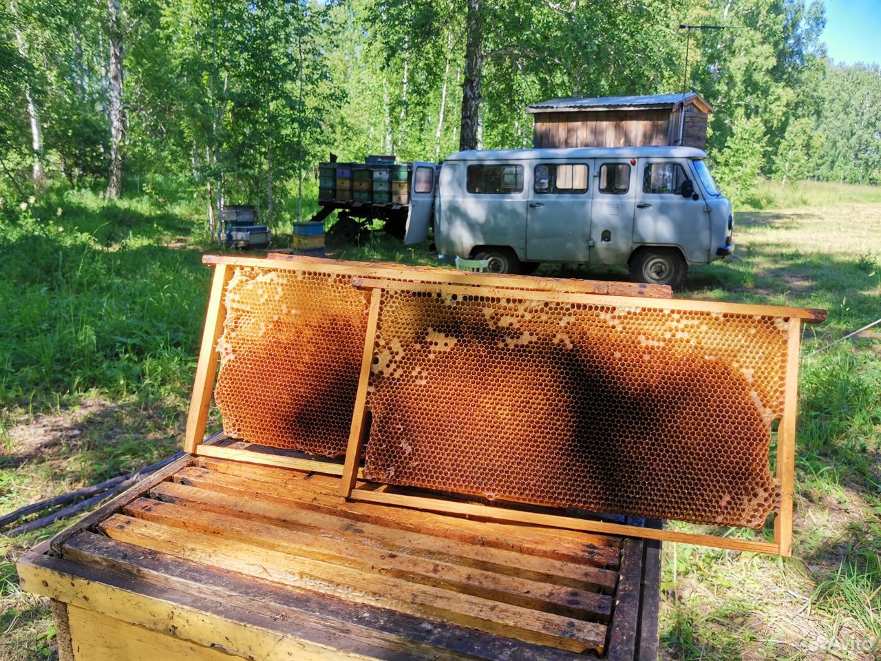 Сушь для пчел,рутовская на 230 купить на Зозу.ру - фотография № 1