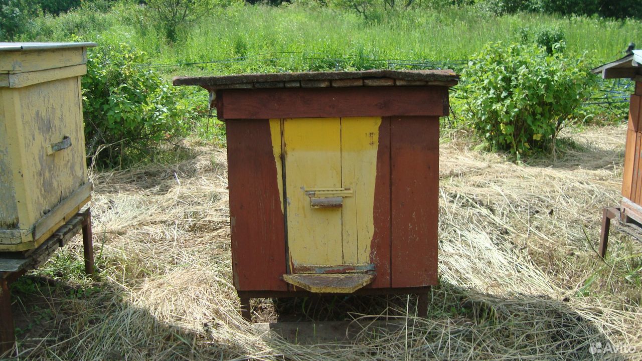 Пчелиные ульи купить на Зозу.ру - фотография № 7