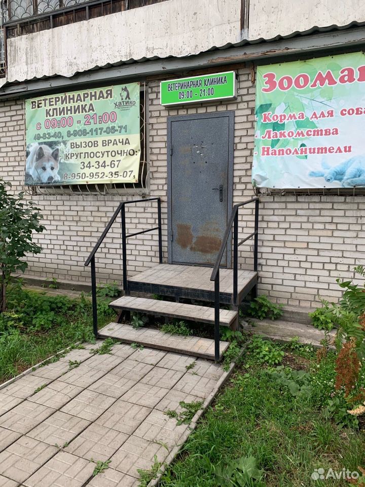 Пирожок ищет дом и помощь купить на Зозу.ру - фотография № 3