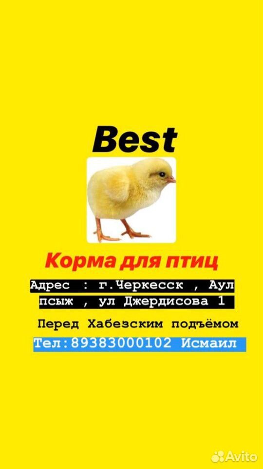 Корма для Птиц Бест купить на Зозу.ру - фотография № 1