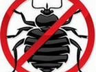 Уничтожение всех видов насекомых и грызунов, клеща объявление продам