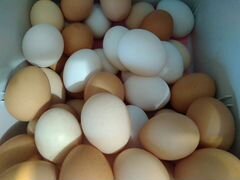 Яйца куриные, утиные, гусиные