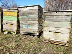 Ульи для пчел, рамки, ящики для рамок