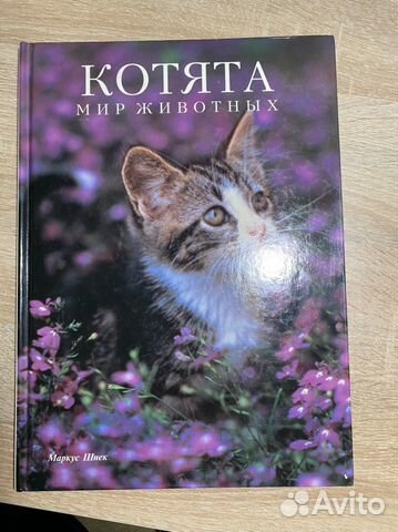 Книга животные энциклопедия