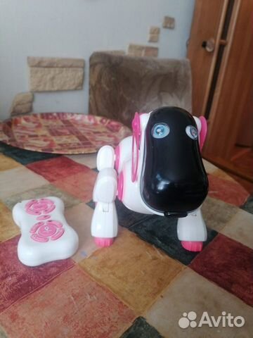 Робот-собака «Киберпёс Ки-Ки»