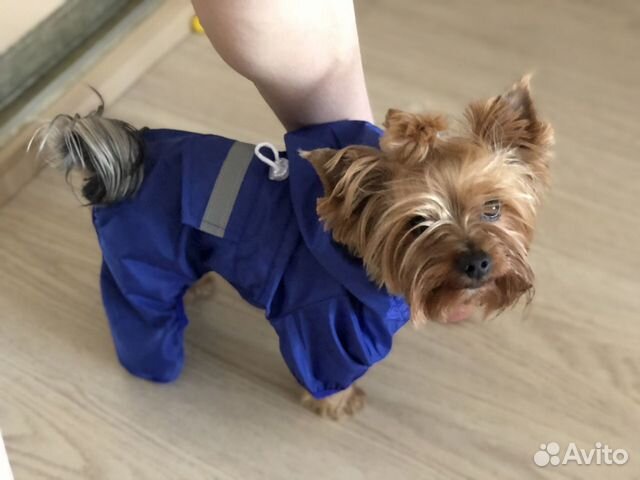 Дождевик для собаки. Размер L