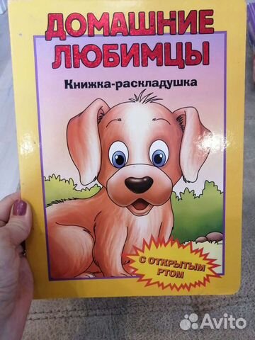 Книга раскладушка б/у