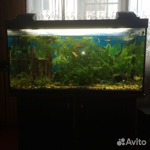 Продам аквариум 200 л купить на Зозу.ру - фотография № 1