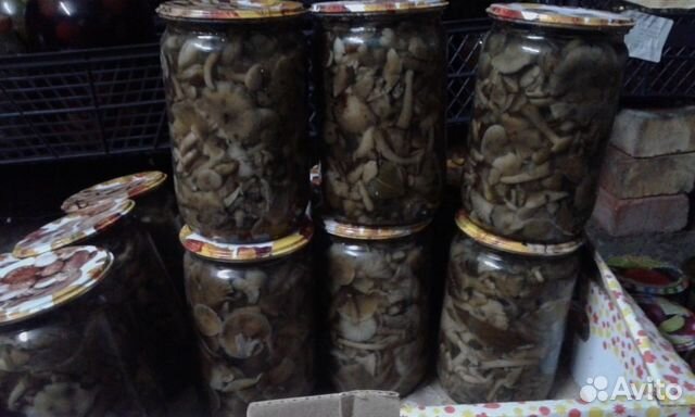 Продаю грибы маринованные опята