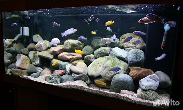 Чистка аквариума