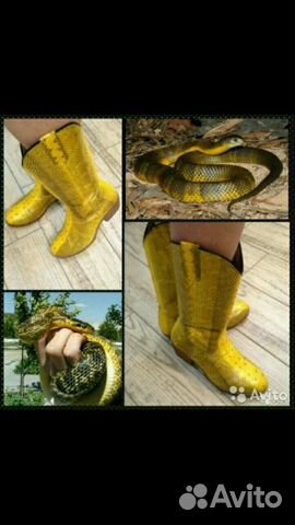 Сапожки из кожи змеи