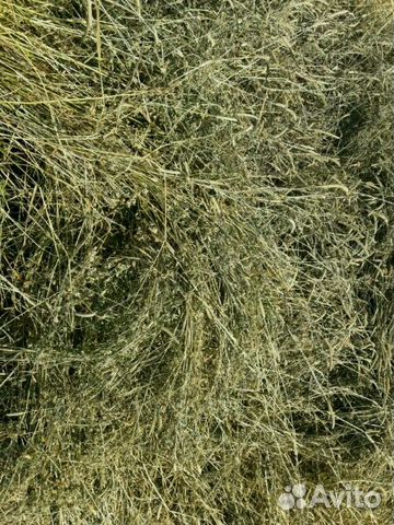 Сено, солома в рулонах тюках урожай 2019, возм купить на Зозу.ру - фотография № 6