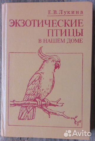 Экзотические птицы в нашем дом.Е. В. Лукина