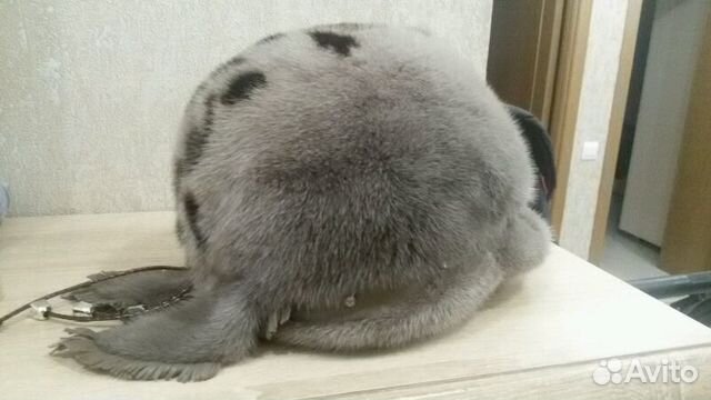 Шапка норковая