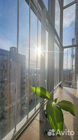 

1-к. квартира, 50 м², 2 кровати