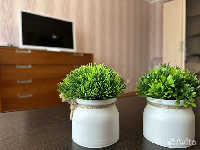 

1-к. квартира, 30 м², 2 кровати