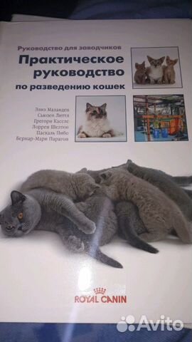 Книга по содержанию и разведению кошек royal canin