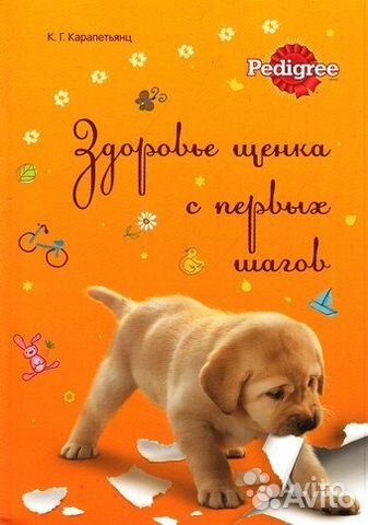 Одежда для животных купить на Зозу.ру - фотография № 2