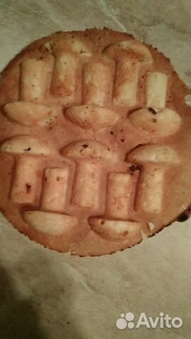 Вафельница,Грибы СССР,Редкость