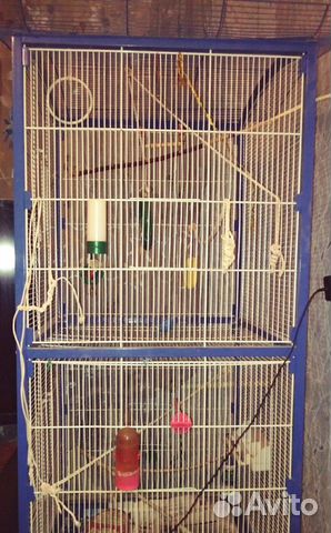 Клетка для попугаев,большая(155на 60) на колёсиках Клетка для попугаев,большая(155на 60) на колёсиках