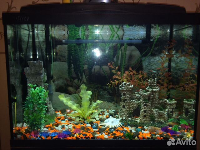 Продам аквариум на 100 литров купить на Зозу.ру - фотография № 2