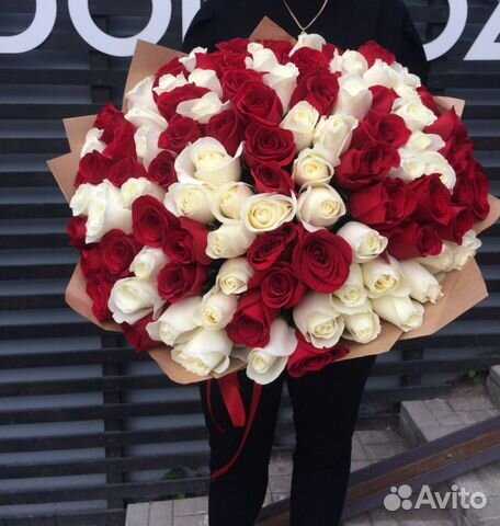 Фото Розы Авито