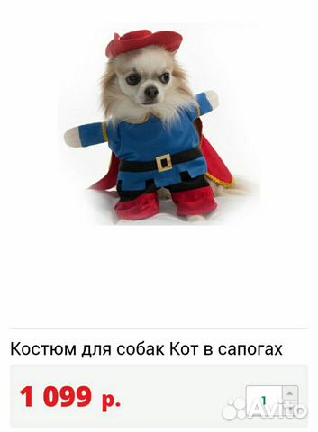 Костюм для собак Костюм для собак