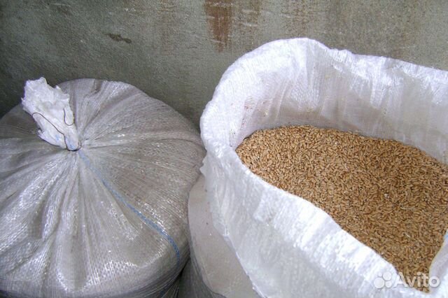 Зерно, пшеница, овес купить на Зозу.ру - фотография № 1